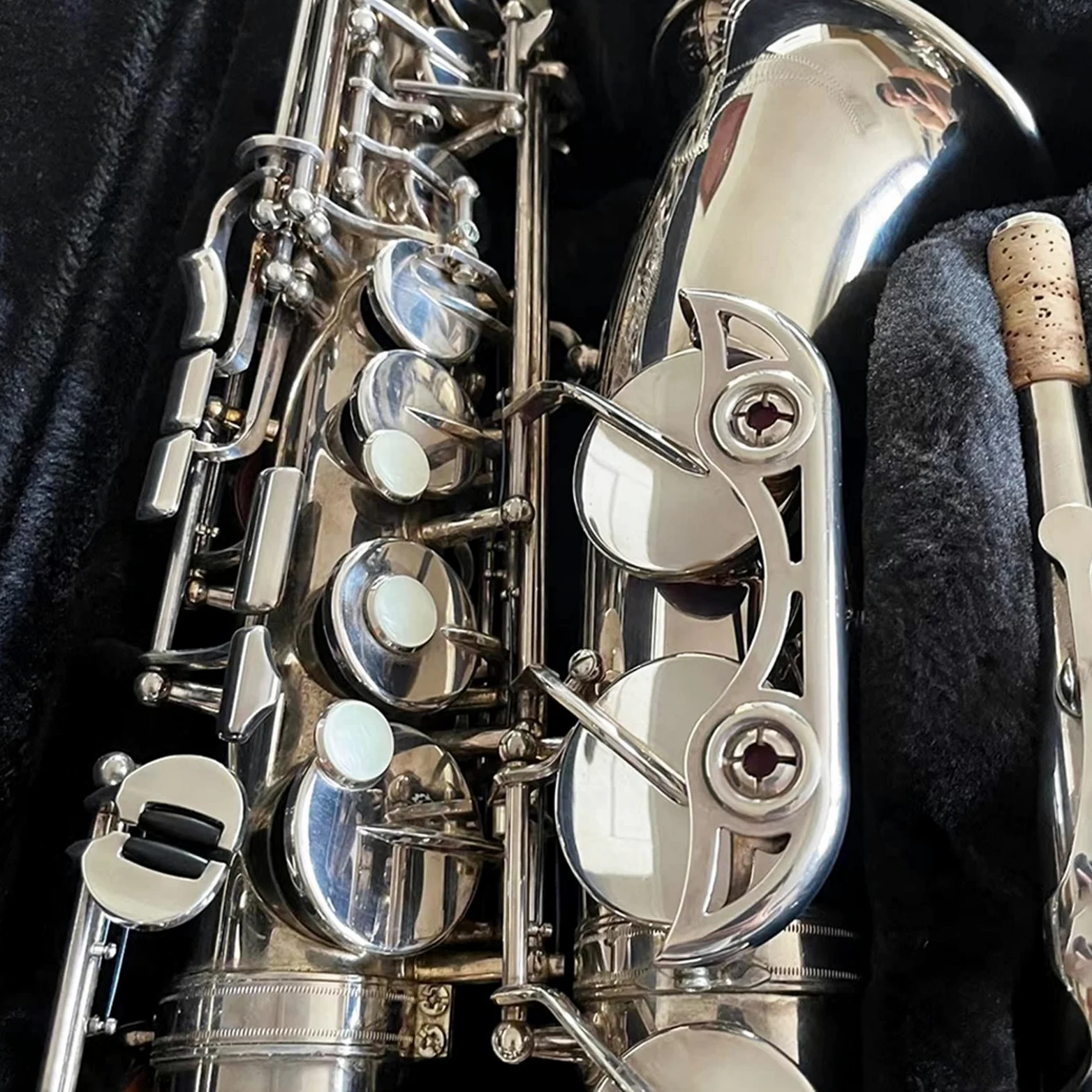 Sax Studente Strumento per Sassofono Contralto Professionale Argento Sax Contralto Voce Professionale