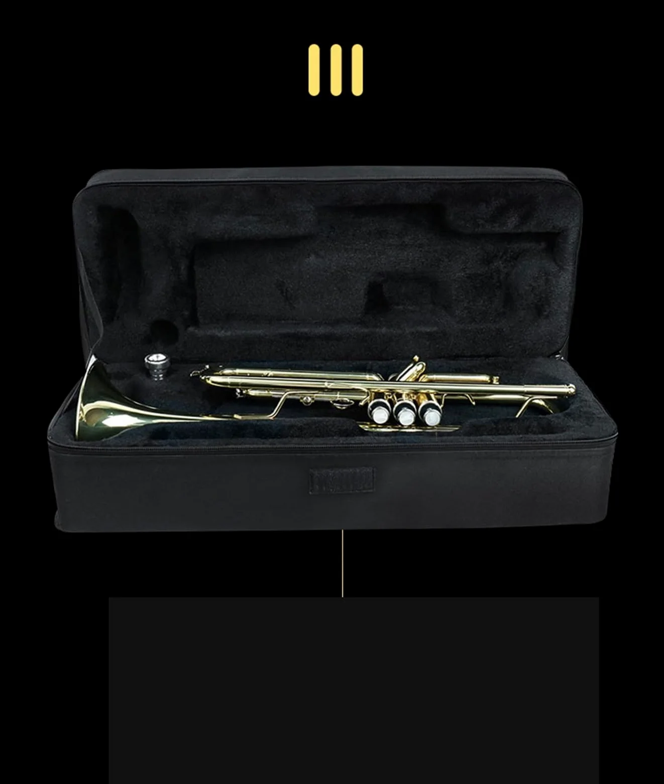 Ensemble Di Trombe Standard Tromba In Sib Per Principianti Strumento Professionale Oro