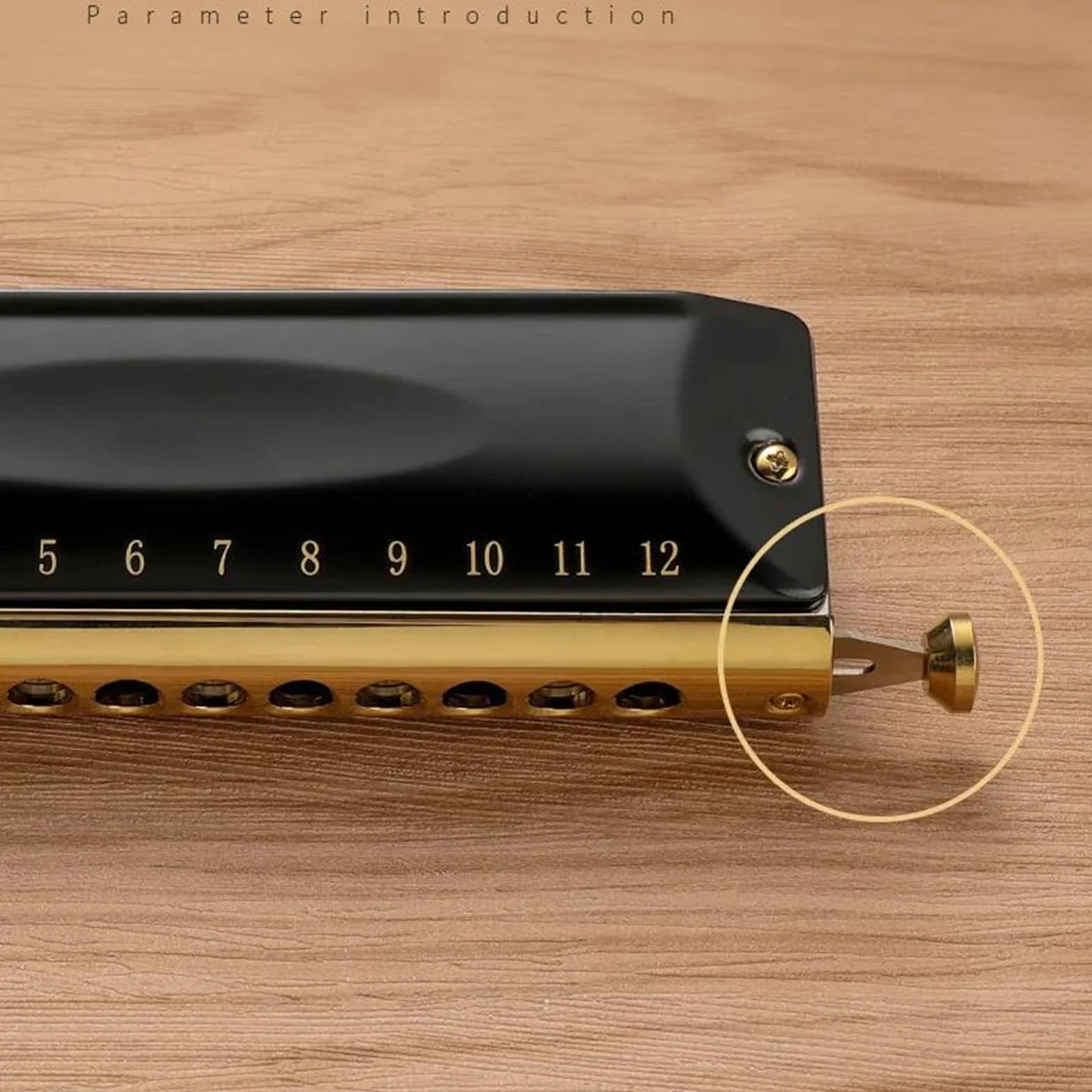 Armonica Cromatica A 12/16 Fori Strumento Musicale Professionale di qualità per Le Prestazioni, Fisarmonica(12 Hole)