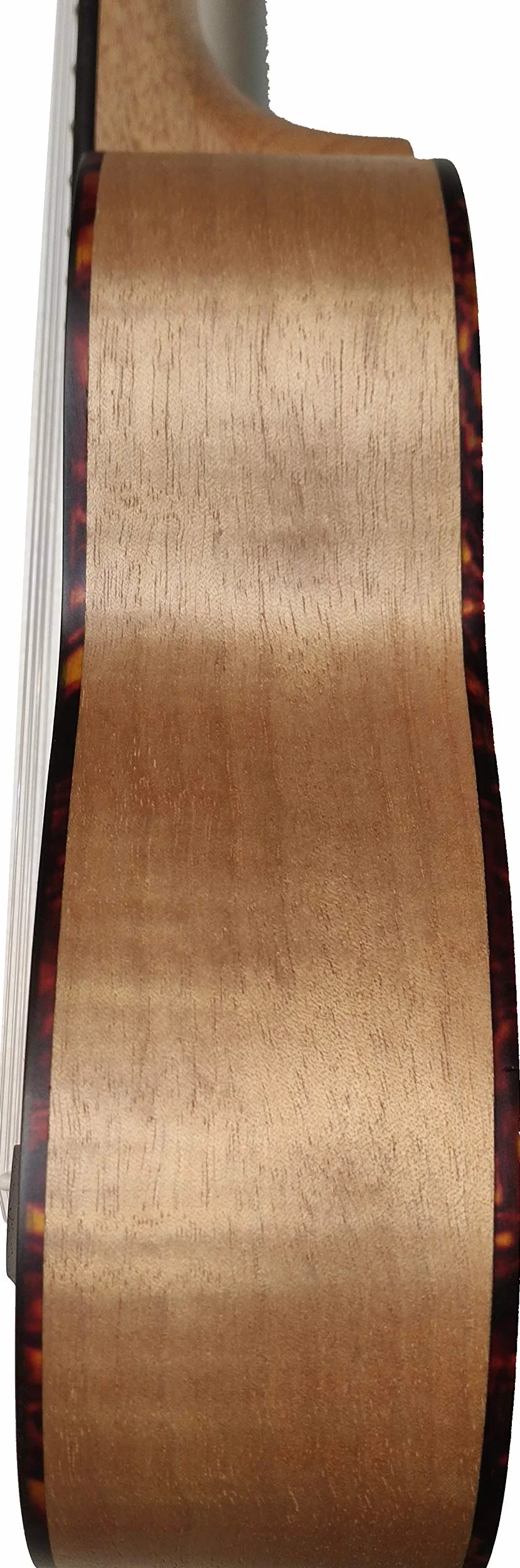 Ukulele Soprano 21" UKAM AM-HM10, modello Tigre Oguman, con accordatore a clip, capotasto speciale ukulele, custodia imbottita con cinghia, set di corde extra e plettri. Pacchetto completo avanzato.