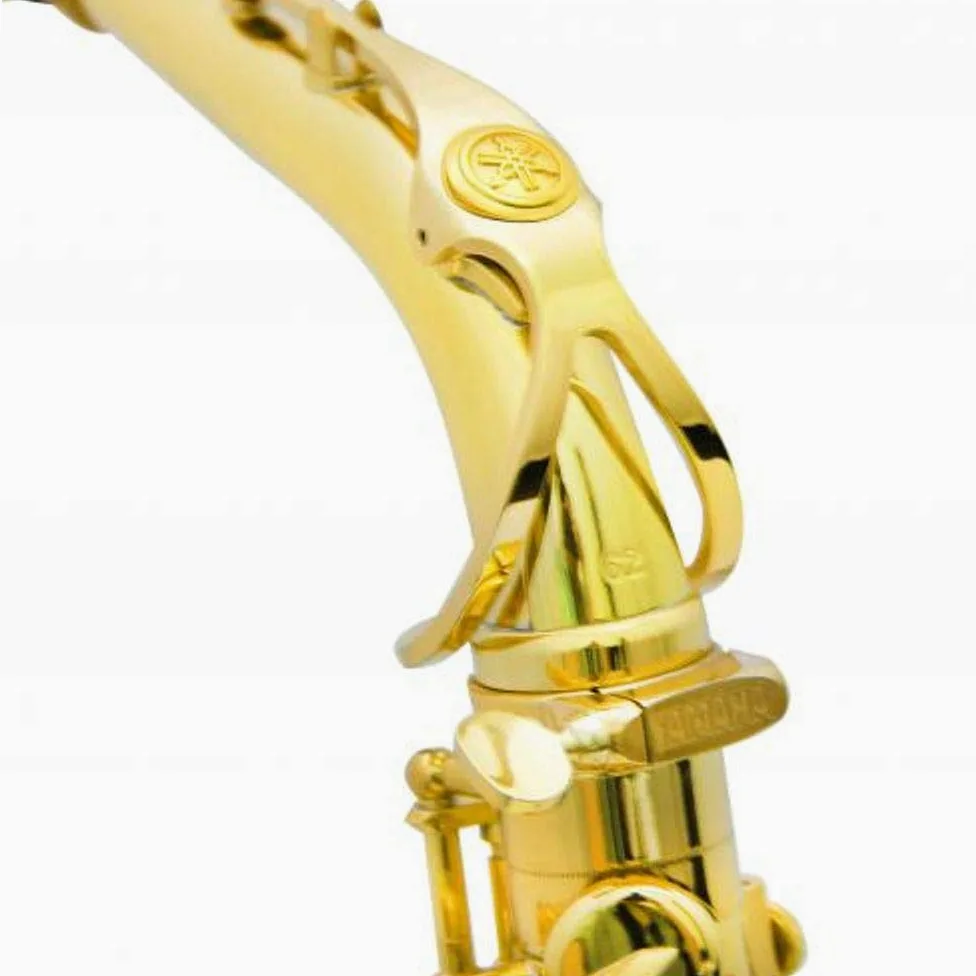 YAS-62 02 Alto Saxophone Pro Shop Series - Sassofono contralto