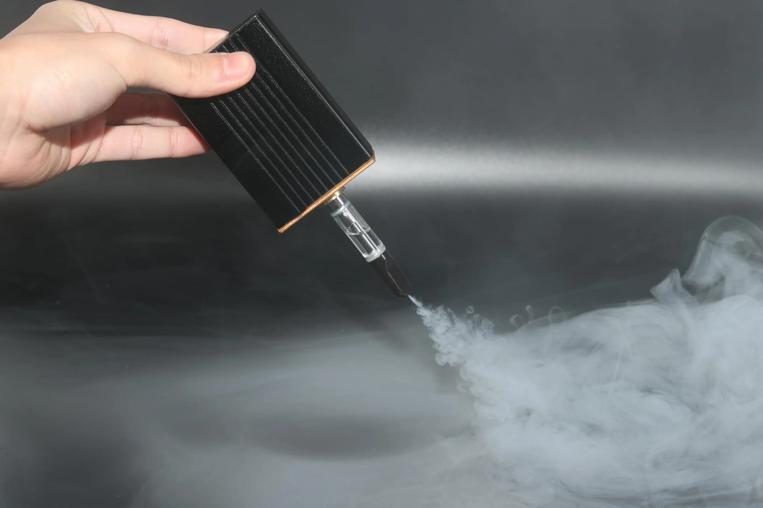 Nebbia Mini macchina per feste all'aperto, portatile, leggera, per uso interno (nero), ML-FMOFOG1