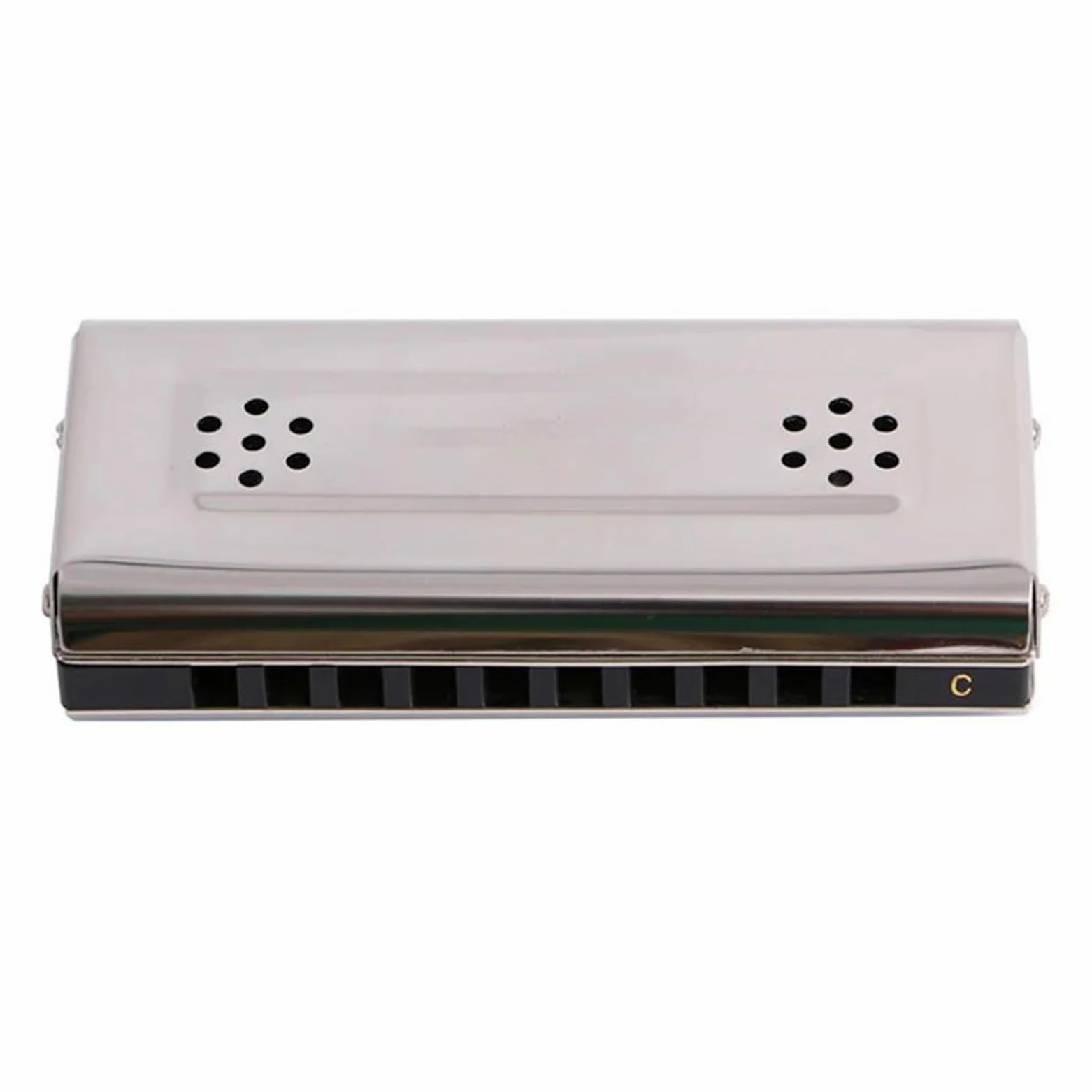 Armonica A Bocca A Doppia Faccia A 10 Fori 2 In 1 Diatonica In Do E Sol Per Adulti Blues