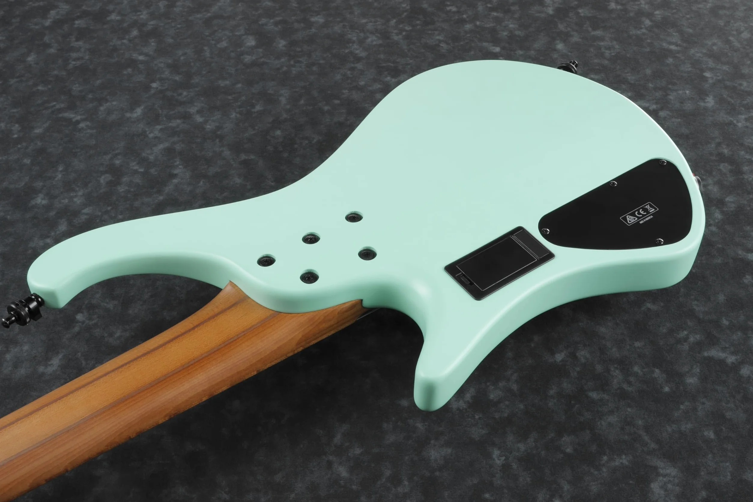 Ibanez Bass Workshop EHB1005MS-SFM Sea Foam Green Matte - Basso elettrico a 5 corde