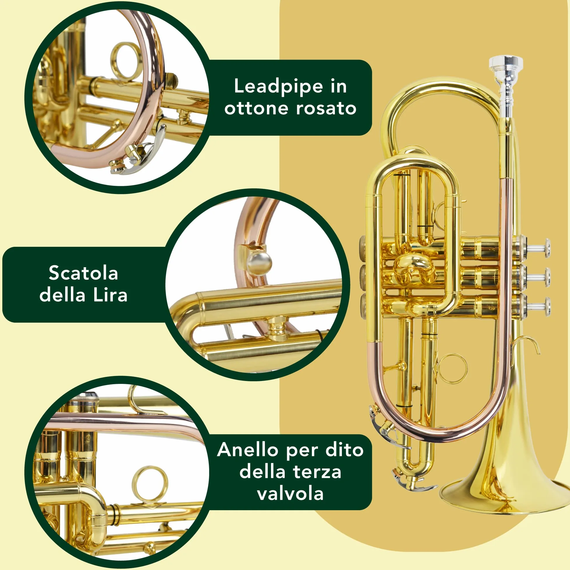 Montreux Student Cornet Sib per Principianti con Custodia Protettiva Leggera, Bocchino - Ottone Laccato, Campana 4,75"/12 cm, Si Bemolle