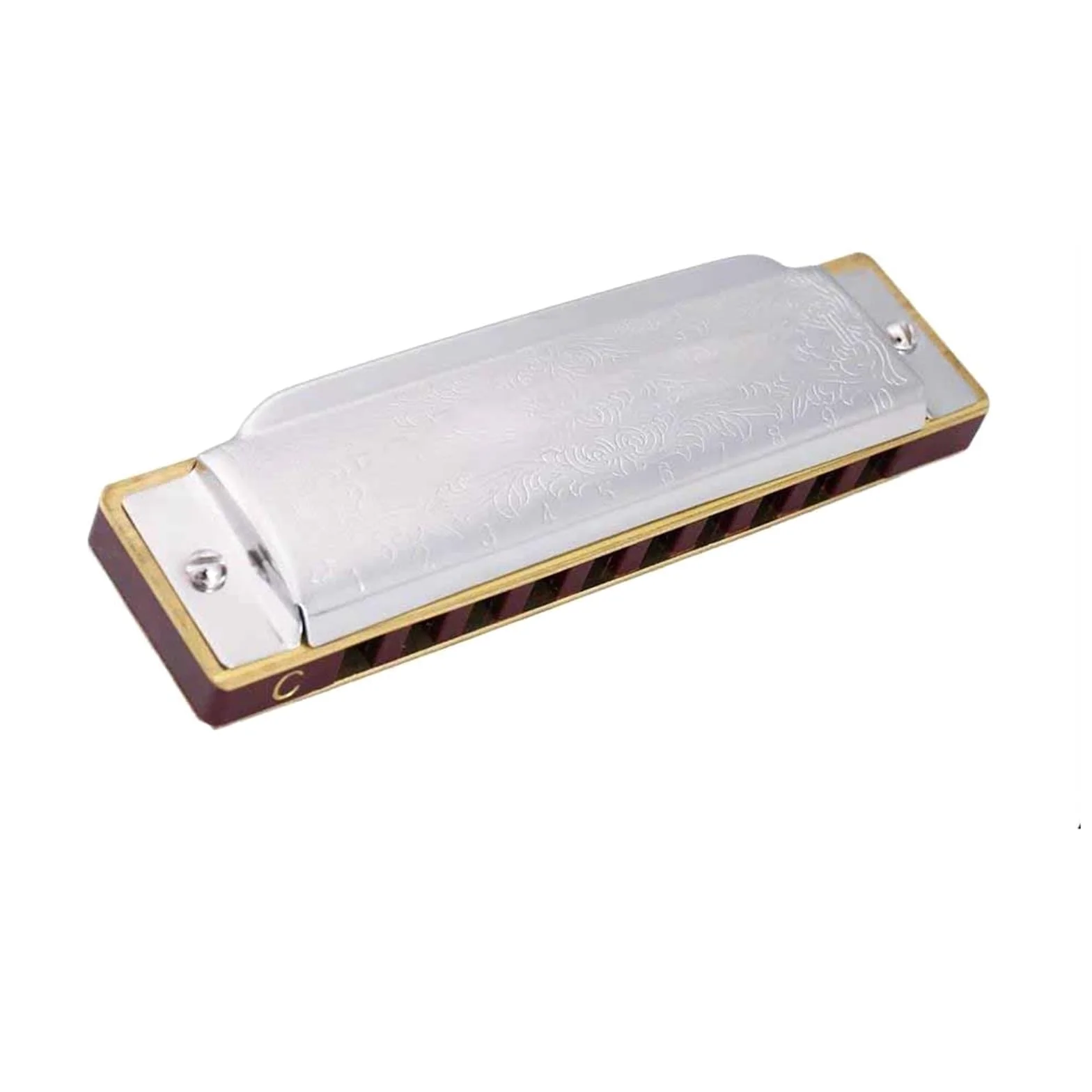 Armonica Armonica A Bocca Diatonica Blues Gaita A 10 Fori 20 Toni Per Principianti(Key of C)