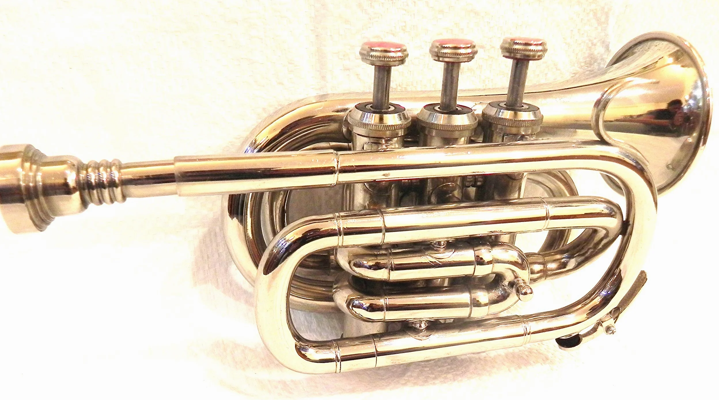 Ottone -India - Tromba tascabile in ottone cromato B-Flat W/Cassa+Mp Argento