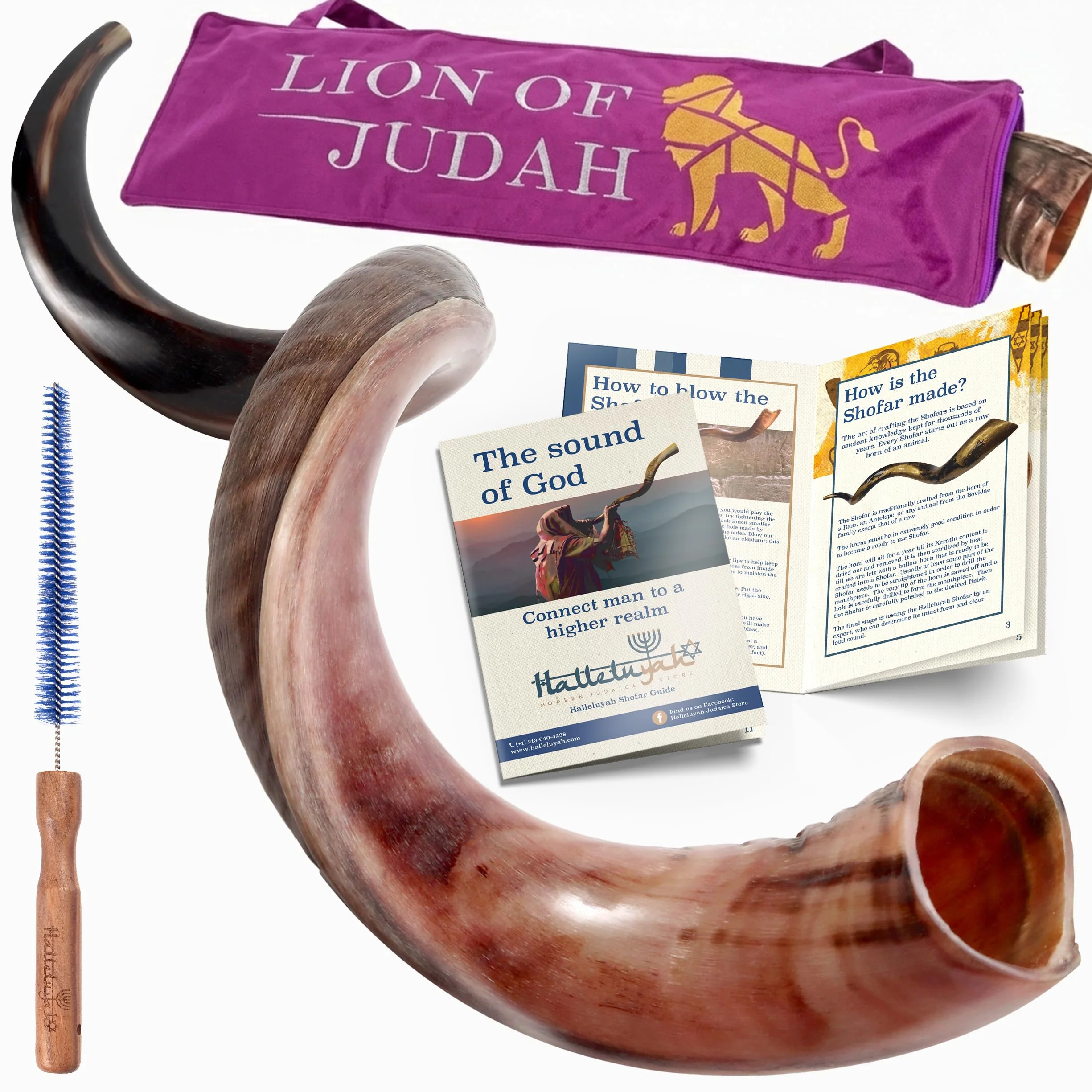HalleluYAH Kosher Kudu Shofar semi-lucidato originale | Da Israele