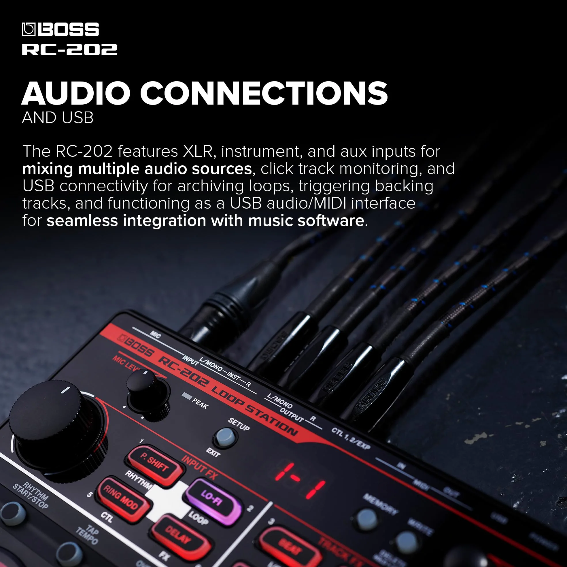 BOSS RC-202 Compact Tabletop due binari Loop Station (RC-202)