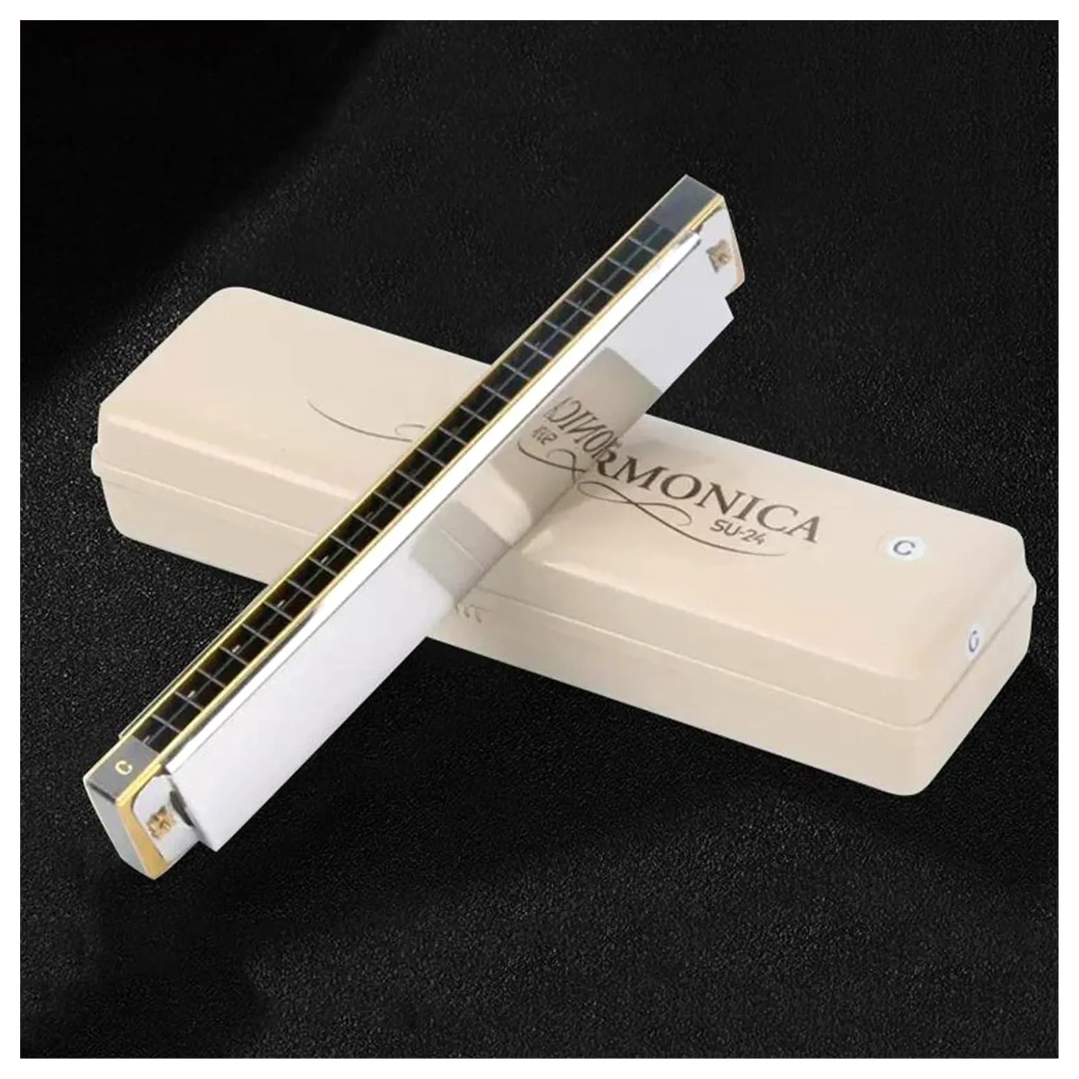 Armonica Tremolo Ottava Armonica Chiave di C 24 Fori Organetto a bocca Tremolo professionale