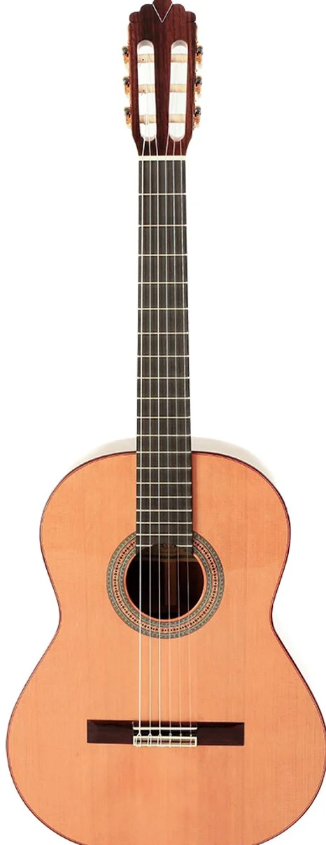 Prodipe 6 corde per chitarra classica (Soloist 700)