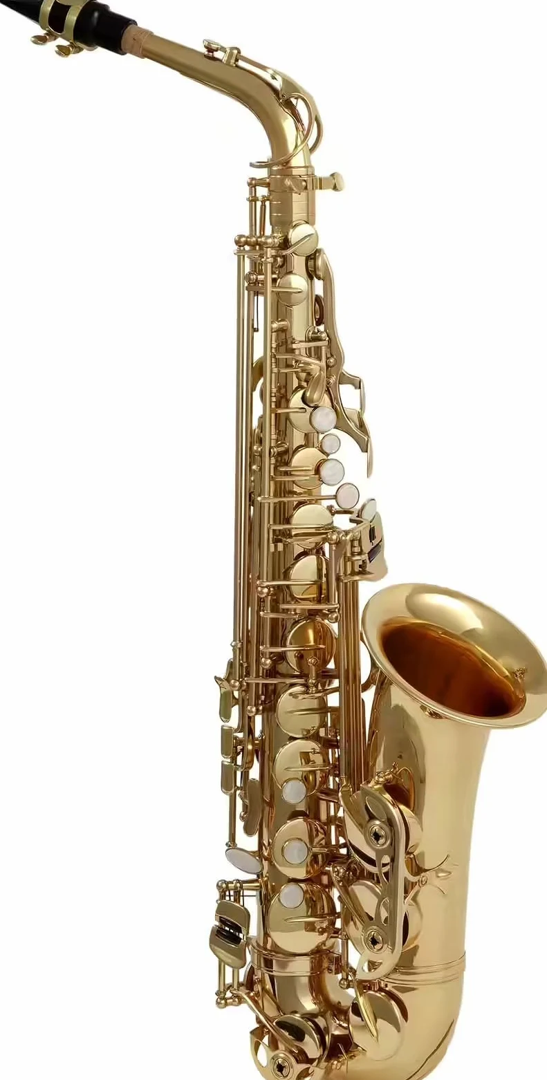 Woodbrass WSA100 - Sassofono Alto Mi Verniciato – Strumento Principiante Pronto a Giocare, Ottone Verniciato, Timbri Pelle con Risonatori Metallo, Custodia & Accessori Inclusi