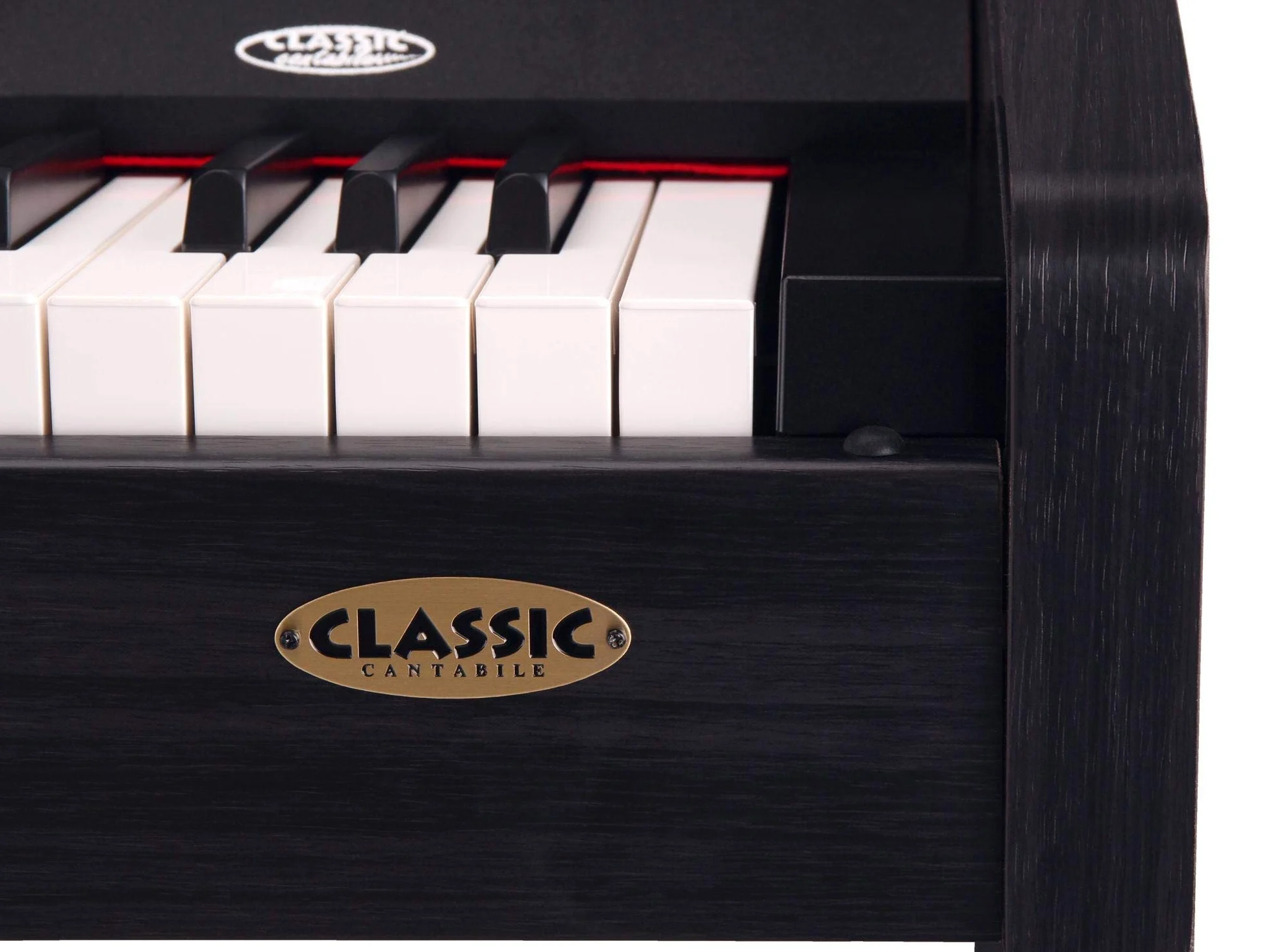 Classic Cantabile DP-210 RH E-Piano Palissandro, Polifonia a 64 voci | Tastiera HA-88-S500 con 88 tasti a meccanica a martelletti, Soft, Medio, Hard, 1 brano demo interno, 26 suoni WMA, 2 x cuffie